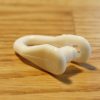 shows small plastic shackle